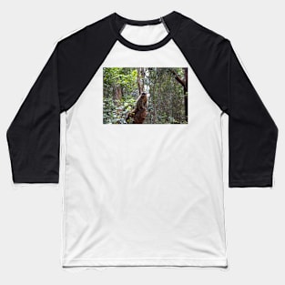 Common brown lemur, Madagascar Baseball T-Shirt